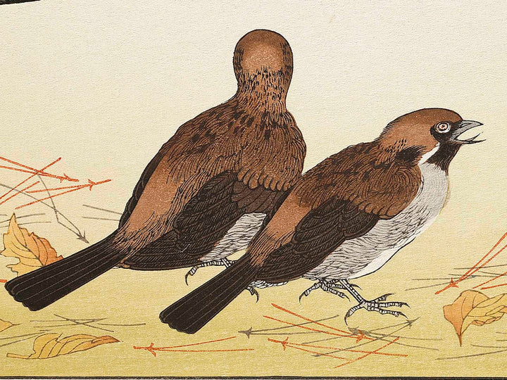 A flock of sparrows and Dove from the series Momochidori kyokaawase by Kitagawa Utamaro, (Large print size) / BJ328-055