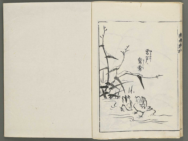 Korin michishirube by Nonomura Chube / BJ351-127
