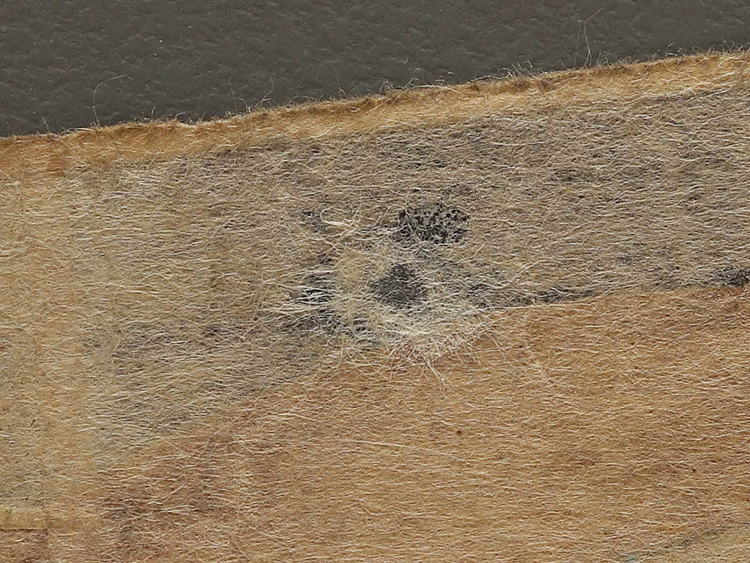 Kabuki actor / BJ326-487