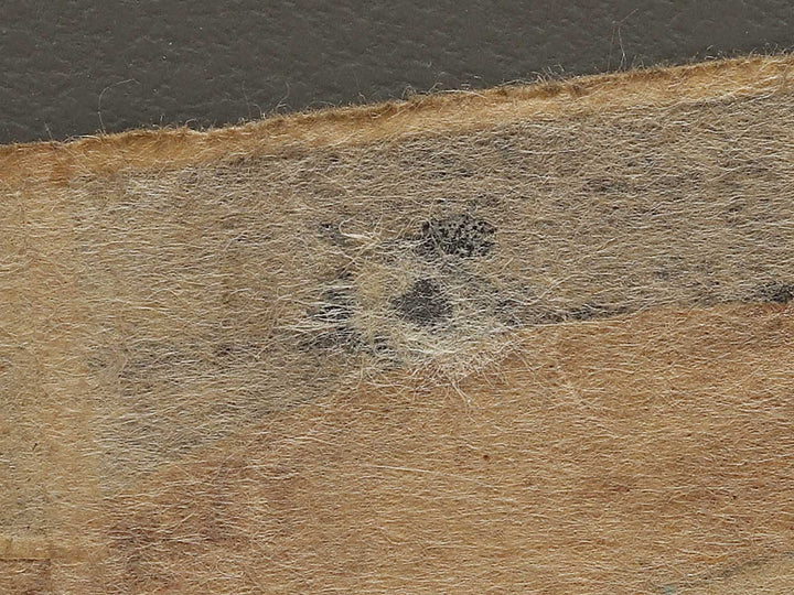 Kabuki actor / BJ326-487