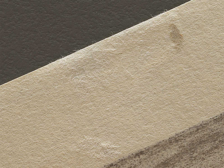 A cormorant stands resolute at the head of a rock by the sea by Katsushika Hokusai, (Medium print size) / BJ325-017