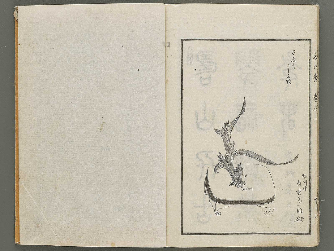 Soka koromonoka Volume 1 by Hishikawa Sori / BJ335-167