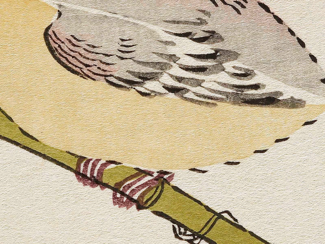 Long tailed Tit and White-eyes from the series Momochidori kyokaawase by Kitagawa Utamaro, (Large print size) / BJ328-006