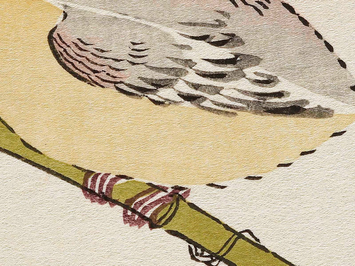 Long tailed Tit and White-eyes from the series Momochidori kyokaawase by Kitagawa Utamaro, (Large print size) / BJ328-006