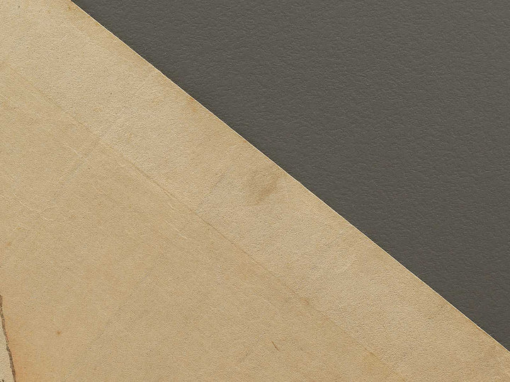 Dai ichi from the series Nihon shinkei gafu by Yamada Shokei / BJ328-244