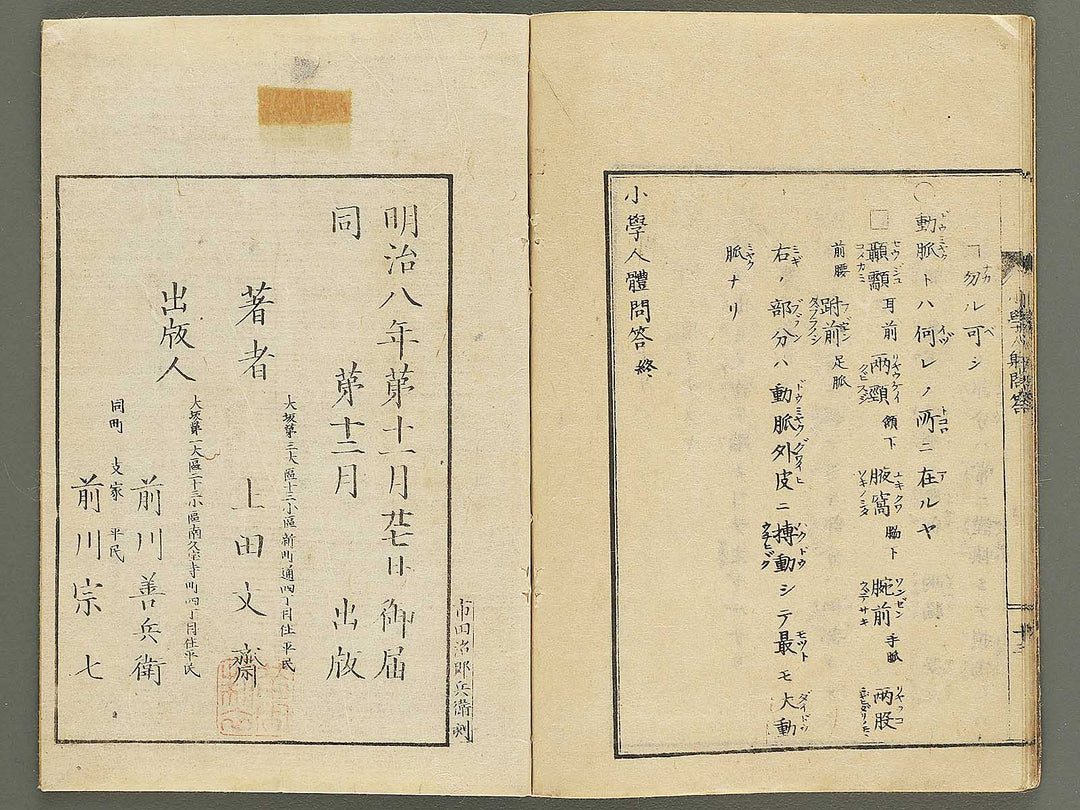 Shogaku jintai mondo / BJ352-884