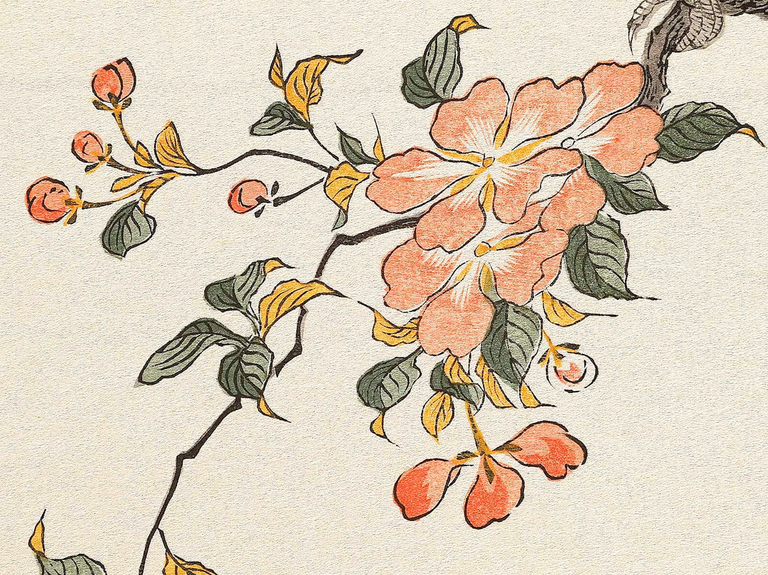 Mountain sparrow and Japanese bush warbler from the series Momochidori kyokaawase by Kitagawa Utamaro, (Large print size) / BJ328-062