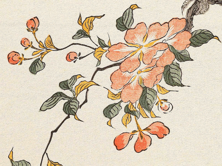 Mountain sparrow and Japanese bush warbler from the series Momochidori kyokaawase by Kitagawa Utamaro, (Large print size) / BJ328-062