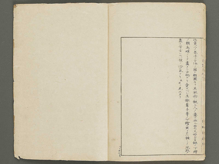 Narumikata Volume 2 by Odagiri Shunko / BJ321-405