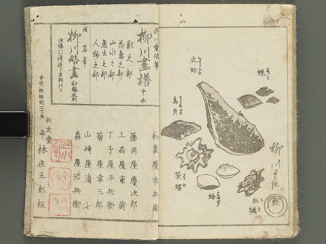 Yanagawa gafu (Jinbutsu sakana mushi) by Yanagawa Shigenobu / BJ348-033