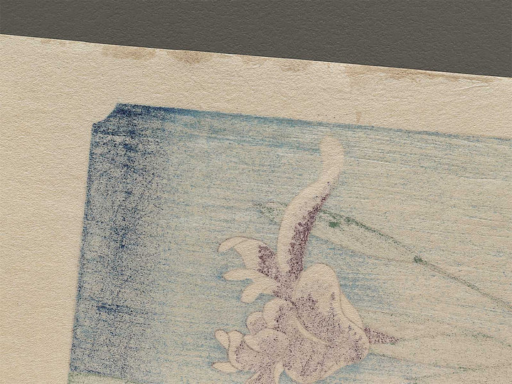 Horikiri Iris Garden from the series One Hundred Famous Views of Edo by Utagawa Hiroshige, (Large print size) / BJ318-458