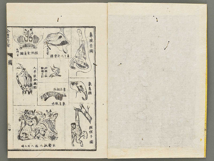 Zentai shinron Kon (Part 2 of 2) / BJ325-353