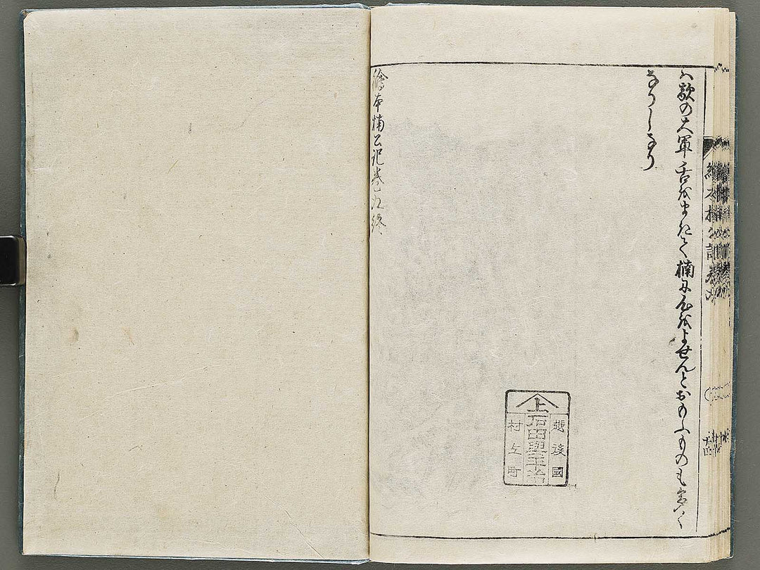 Ehon nankoki Volume 9 by Hayami Shungyosai / BJ335-482