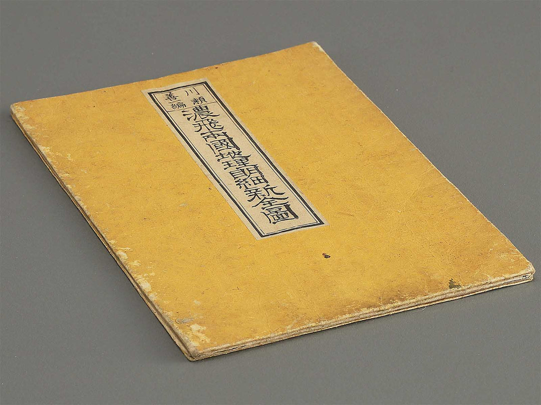 Nohi ryogaku chiri meisai shinzenzu by Kawase Zenichi / BJ350-483