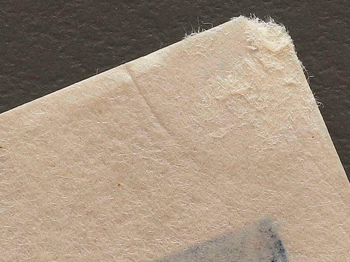 Shinyoshiwara emonzaka aki no tsuki from the series Toto meisho by Utagawa Hiroshige, (Small print size) / BJ327-047