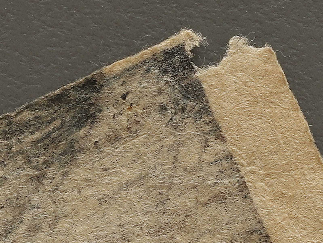 Kabuki actor / BJ325-542