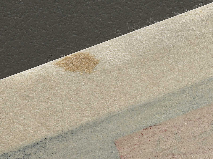 Rendezvous Pine (or, Pine of Success) near the Asakusa River and the Onmaya Bank of the Sumida River from the series One Hundred Famous Views of Edo by Utagawa Hiroshige, (Large print size) / BJ337-036