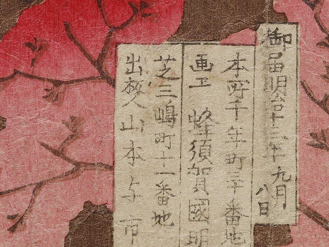 Shibakoenchi Maruyama goyuran no zu by Hachisuka Kuniaki / BJ340-991