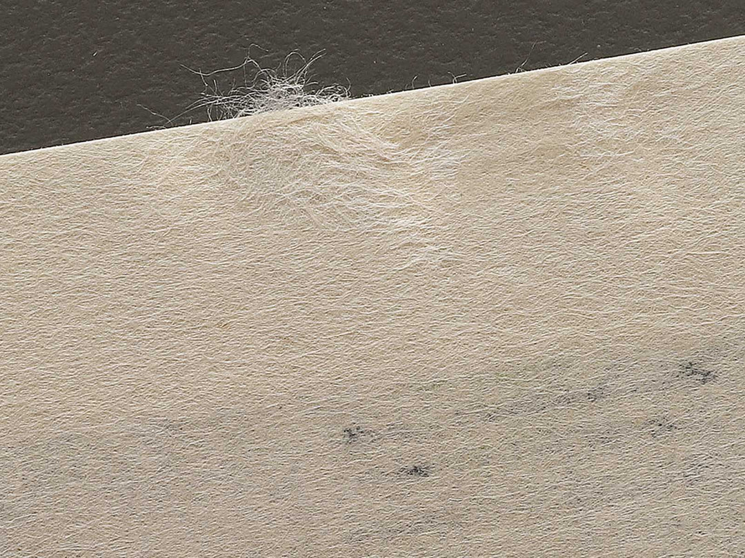 Dawn Inside the Yoshiwara from the series One Hundred Famous Views of Edo by Utagawa Hiroshige, (Large print size) / BJ337-204