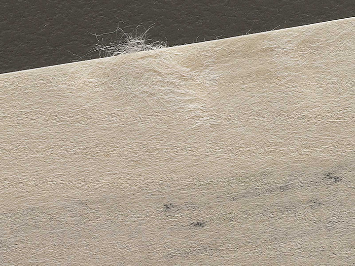 Dawn Inside the Yoshiwara from the series One Hundred Famous Views of Edo by Utagawa Hiroshige, (Large print size) / BJ337-204