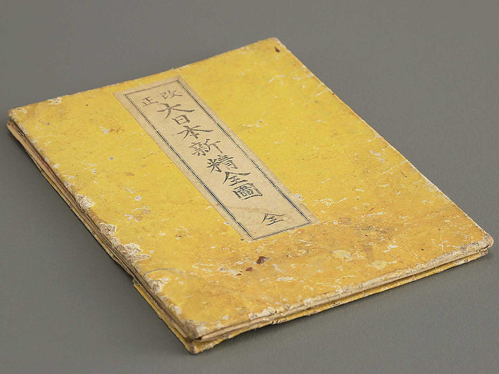 Kaisei dainihon shinsei zenzu by Nakanishi Juko / BJ343-588