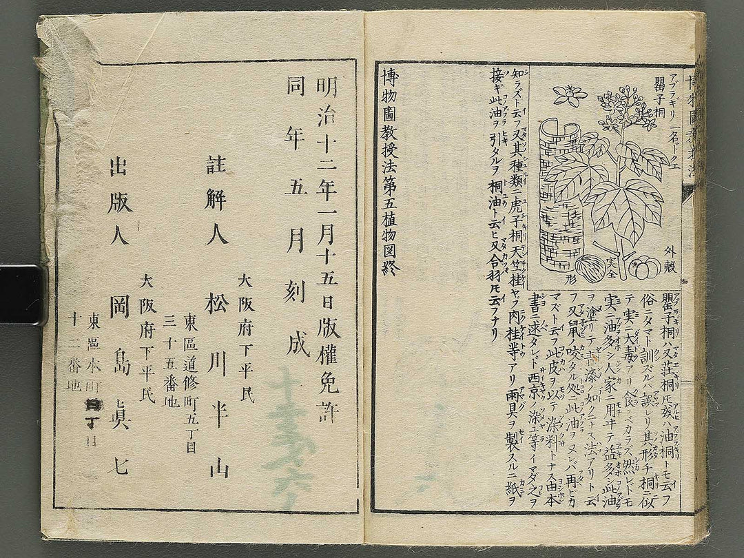 Hakubutsu kyojyuho Volume 4-5 by           / BJ344-729