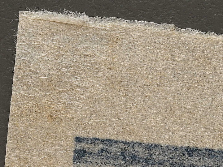 Mino no kuni yoro no taki from the series Shokoku taki meguri by Katsushika Hokusai, (Large print size) / BJ337-414