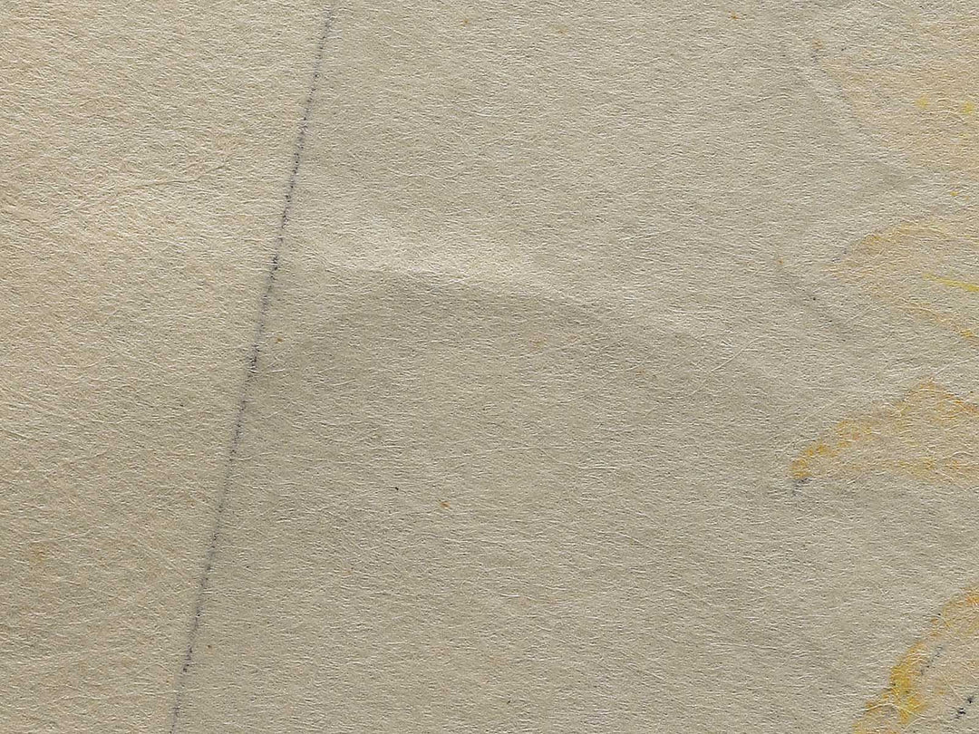 Himawari by Kawarazaki Shodo, (Large print size) / BJ346-276