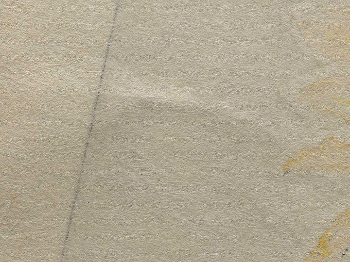 Himawari by Kawarazaki Shodo, (Large print size) / BJ346-276