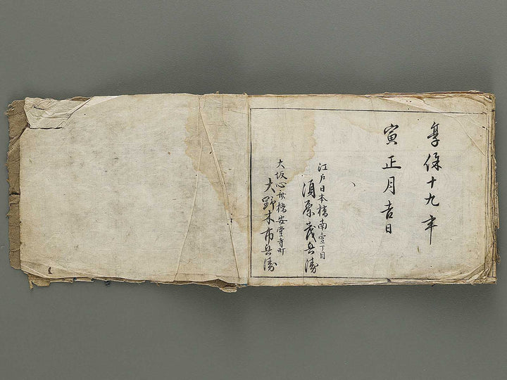 Ranma hinagata (Ge) / BJ336-056