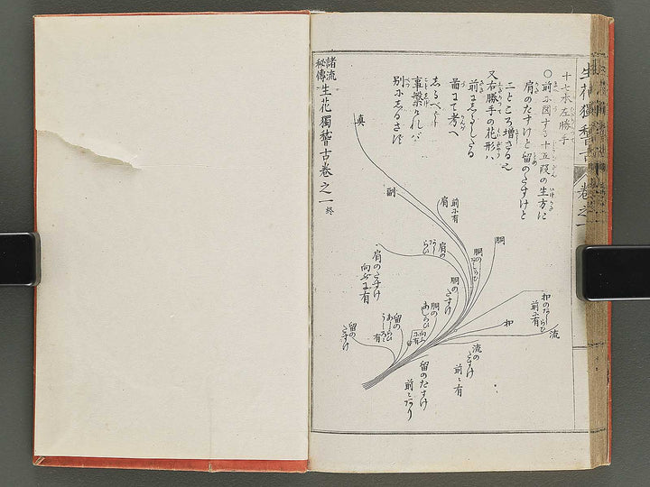 Shoryu hiden ikebana hitorigeiko Volume 1 / BJ347-928