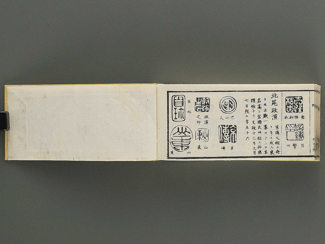 Shoga hikkei meika zensho Volume 4 / BJ348-621