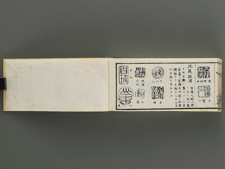 Shoga hikkei meika zensho Volume 4 / BJ348-621