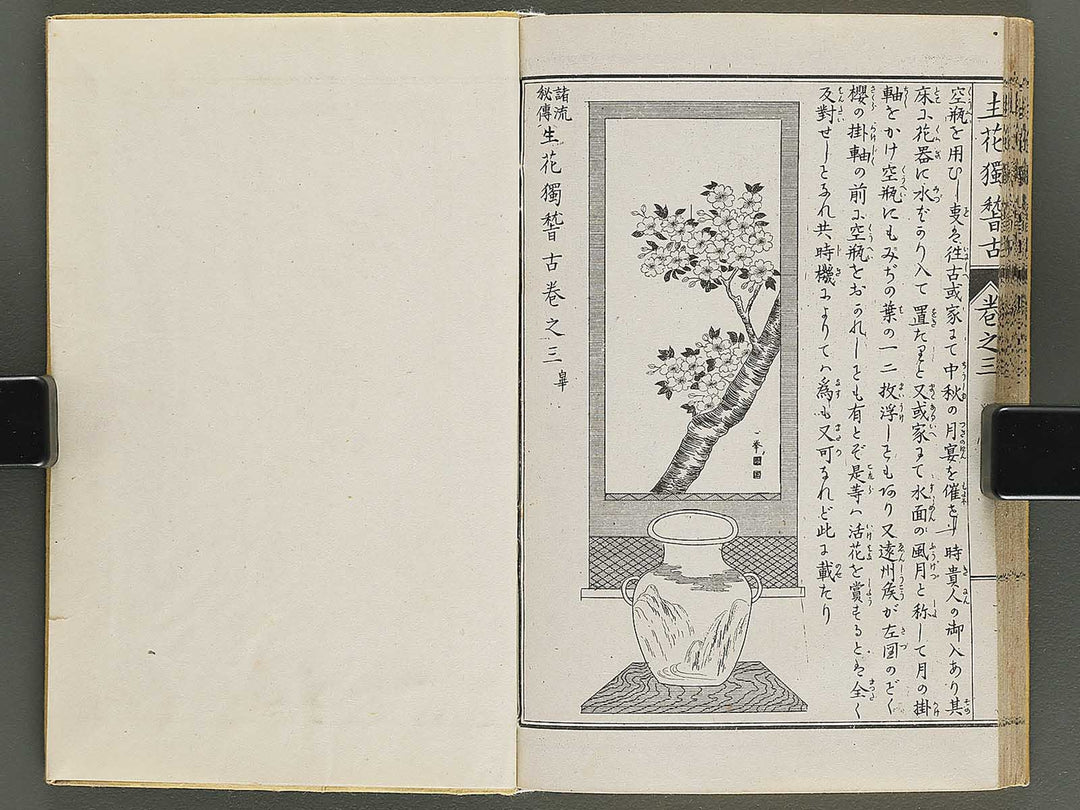 Shoryu hiden ikebana hitorigeiko Volume 3 / BJ347-942