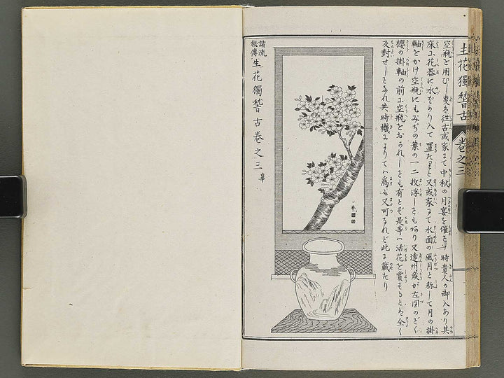 Shoryu hiden ikebana hitorigeiko Volume 3 / BJ347-942