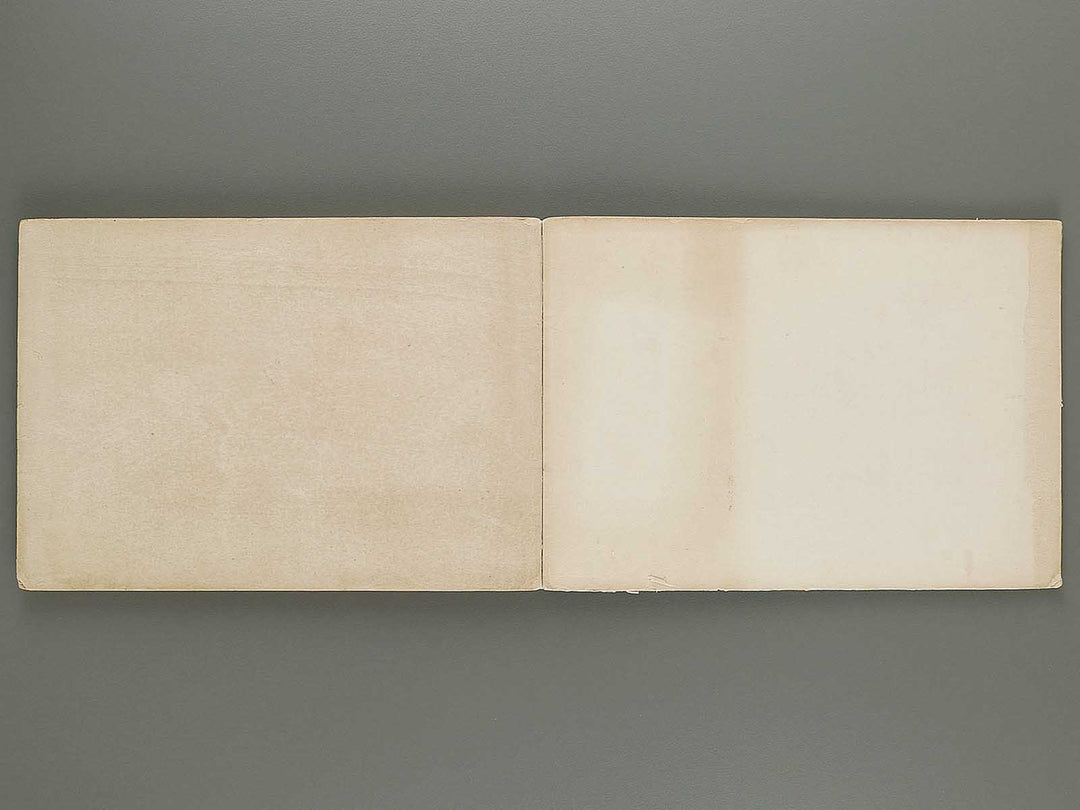 Soencho Shinko nogaku moyo Volume 1 / BJ318-374