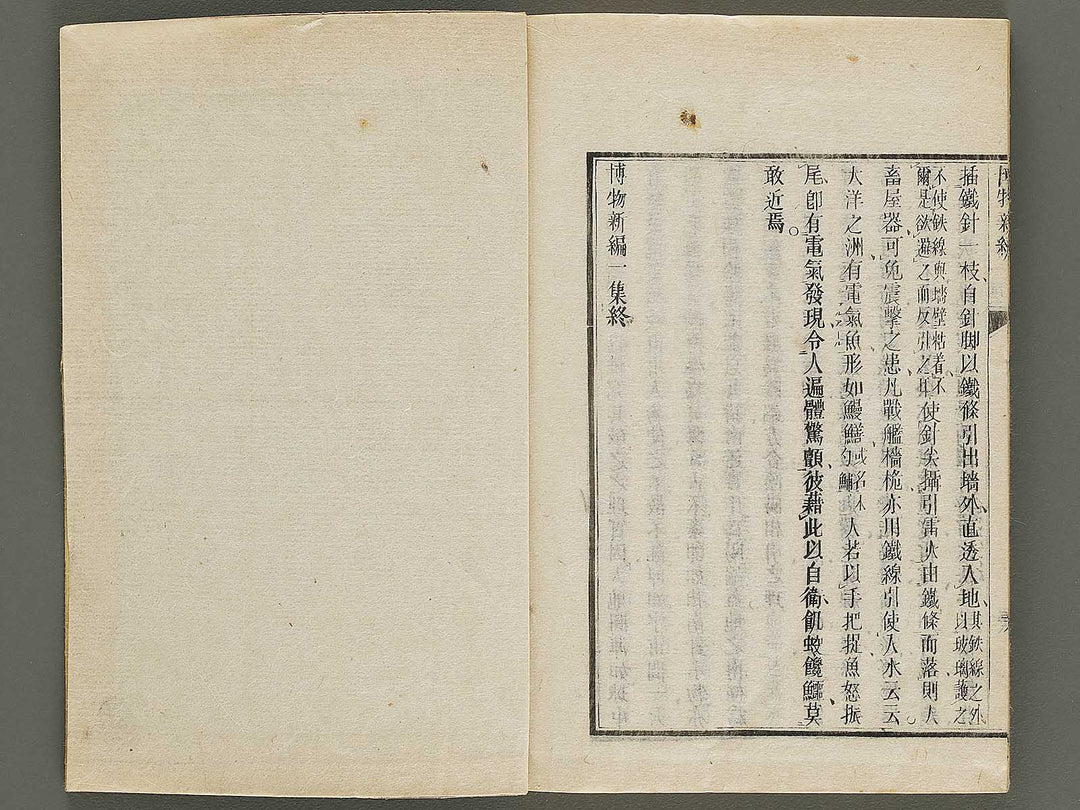 Hakubutsu Shinpen Volume 1 / BJ336-462