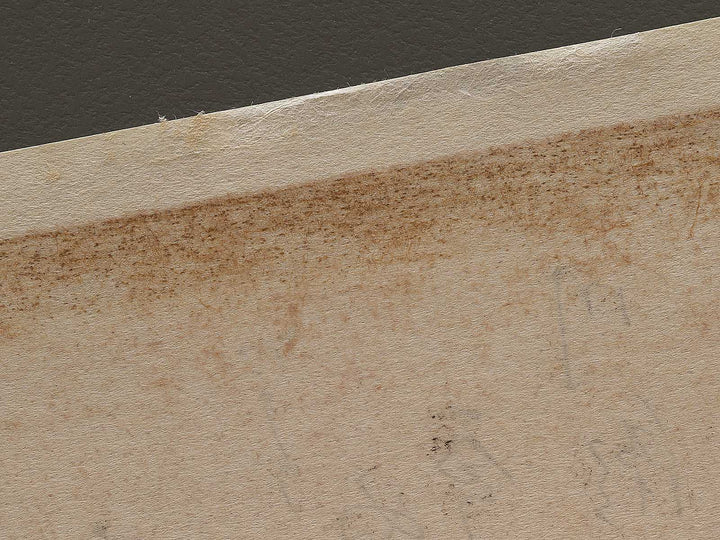 Japanese Carp from the series the series fish by Utagawa Hiroshige, (Large print size) / BJ323-407