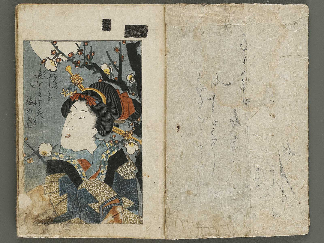 Ikku zenji shoshiki mondo (Chu) by Yanagawa Shigenobu / BJ336-805