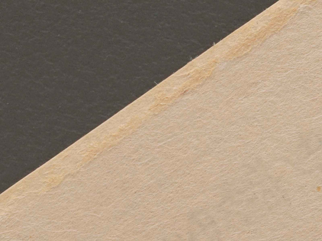 Three Beauties in the Wind from the series A Comparison of Fashionable Beauties of the Gay Quarters by Torii Kiyonaga, (Large print size) / BJ232-806