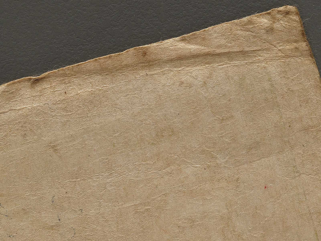 Tamae from the series Tokyo geigi bijin kurabe by Kobayashi Kiyochika / BJ339-129