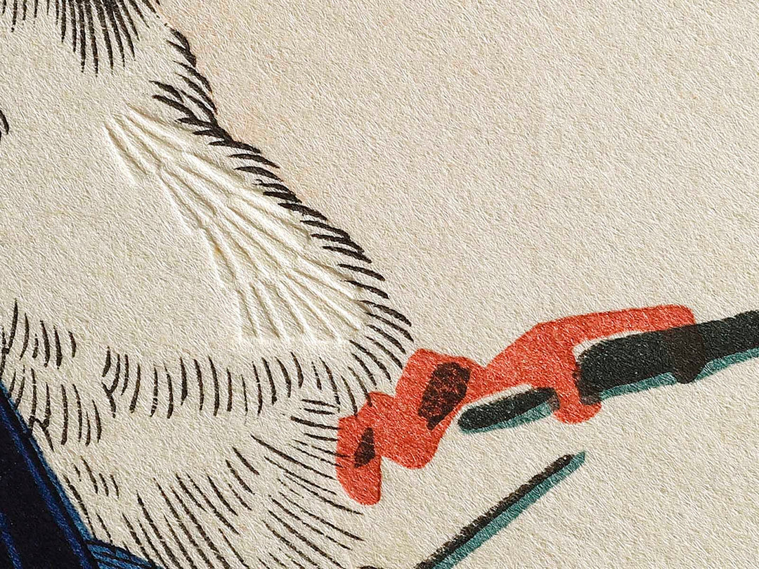 White plum blossoms & long tailed cock by Utagawa Hiroshige, (Medium print size) / BJ328-090
