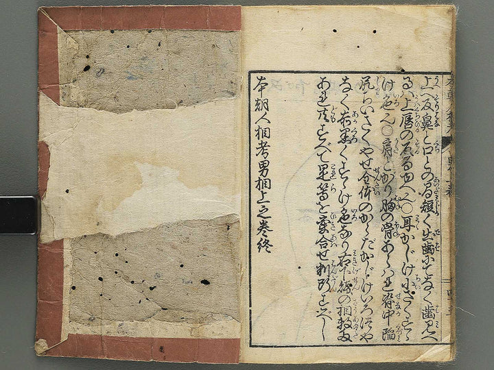 Hondho ninsoko (Jo) / BJ345-107