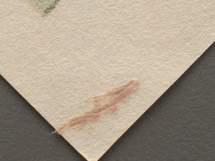 Wakai danjo / BJ268-940