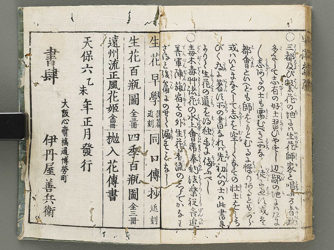 Ikebana hayamanabi / BJ331-275