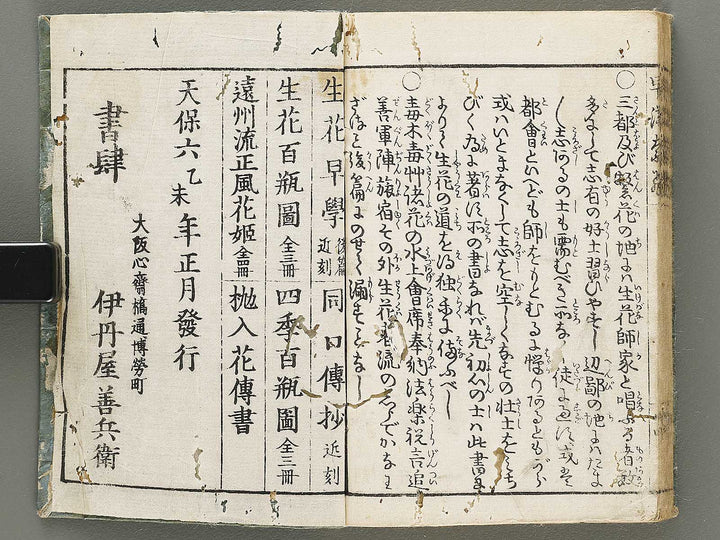 Ikebana hayamanabi / BJ331-275