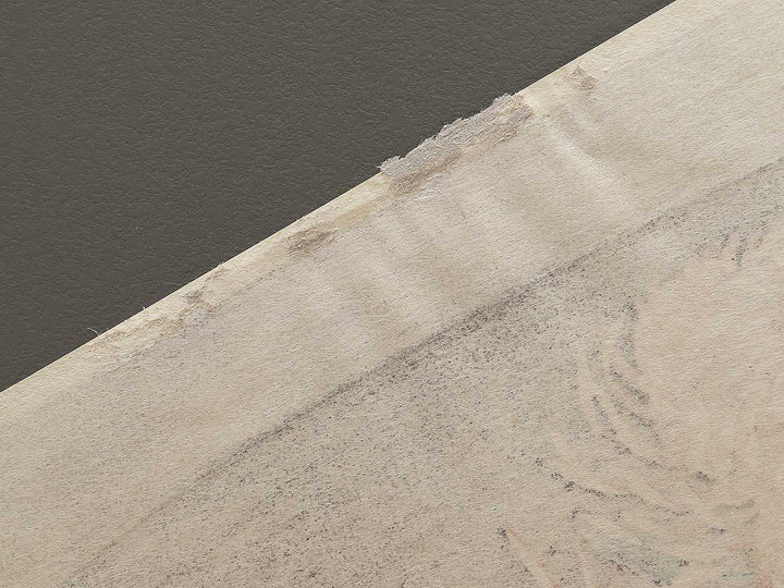 Kiku ni cho by Utagawa Hiroshige, (Large print size) / BJ324-737