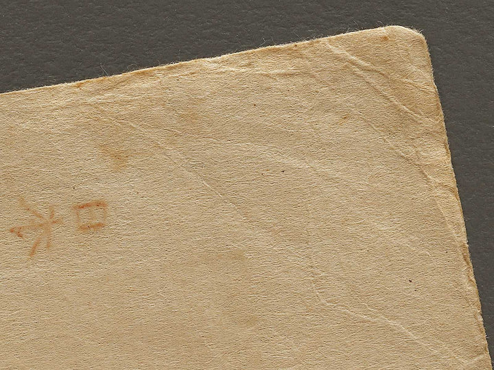 Dai juichi from the series Nihon shinkei gafu by Yamada Shokei / BJ328-216