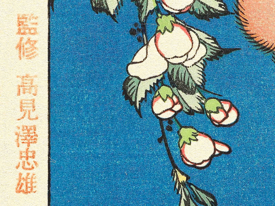 Weeping cherry blossoms against a dark indigo background, capturing the moment a Japanese bullfinch comes to peck at the blossoms. by Katsushika Hokusai, (Medium print size) / BJ319-445