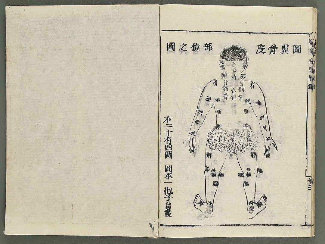 Shikyu wage (furoku) by Okamoto Ippo / BJ347-459